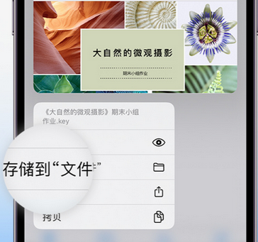 黑水apple维修中心分享iPhone文件应用中存储和找到下载文件