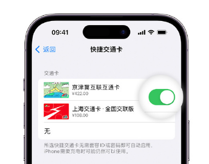 黑水apple维修点分享iPhone上更换Apple Pay快捷交通卡手绘卡面 