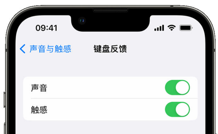 黑水苹果手机维修分享iPhone 14触感键盘使用方法 