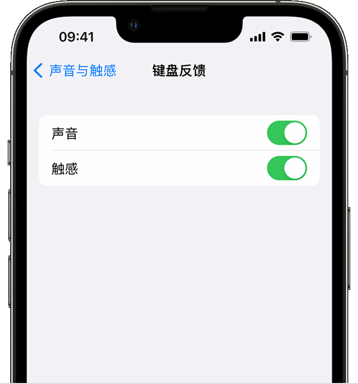 黑水苹果14维修店分享如何在 iPhone 14 机型中使用触感键盘 