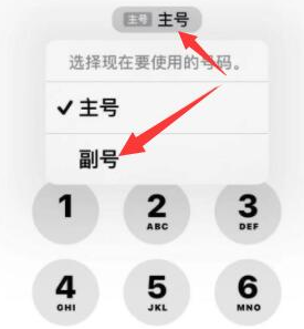 黑水苹果14维修店分享iPhone 14 Pro Max使用副卡打电话的方法 