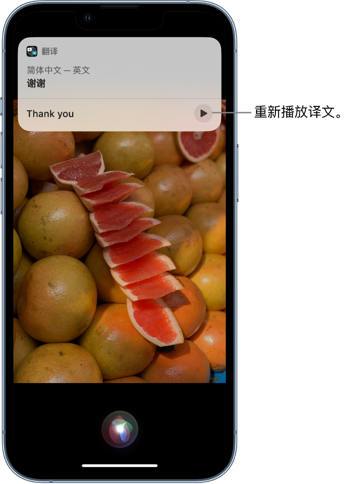 黑水苹果14维修分享 iPhone 14 机型中使用 Siri：了解 Siri 能帮你做什么 