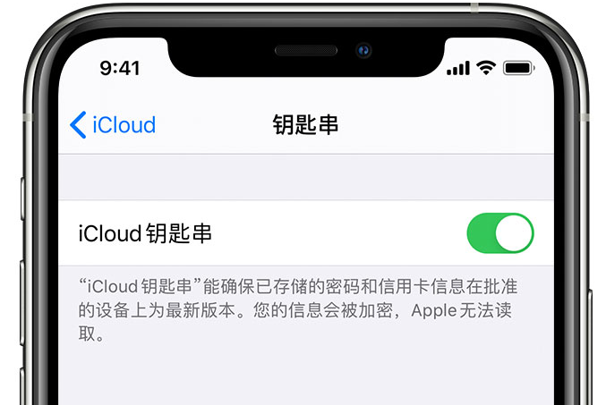 黑水苹果手机维修分享在 iPhone 上开启 iCloud 钥匙串之后会储存哪些信息 