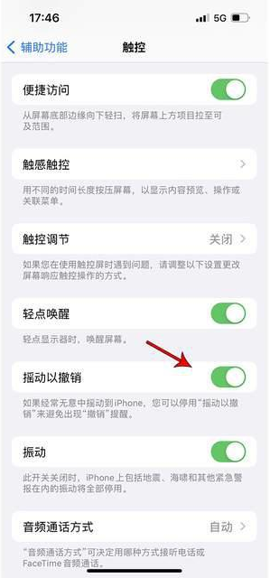 黑水苹果手机维修分享iPhone手机如何设置摇一摇删除文字 