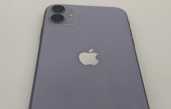 黑水苹果11系统维修分享iPhone11手机系统崩溃无法开机如何解决 